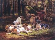 Dogs Carlo Saraceni